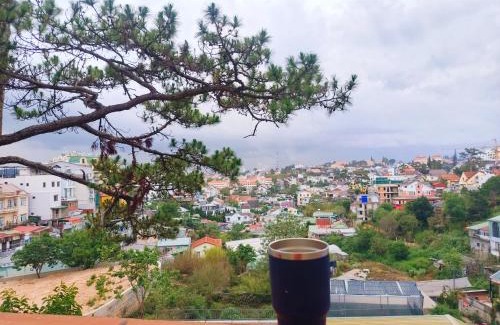 Da Lat Hotel | Bồ Công Anh Peaceful Place