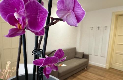 Old Town Bed & Breakfast | B&B Giardino della Giganza
