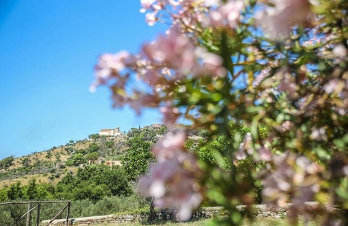 Torchiara Bed & Breakfast | B&B La Residenza Torchiara