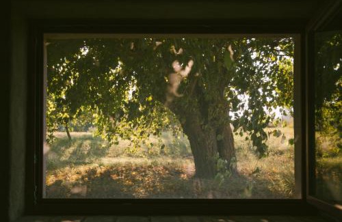 Terre Roveresche Bed & Breakfast | B&B Le Tamerici