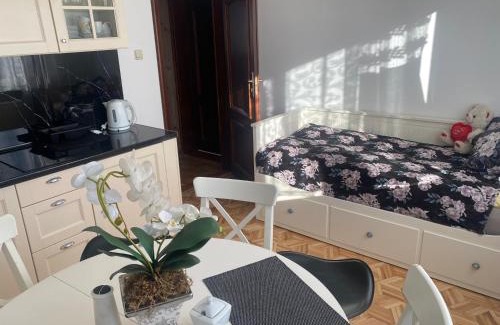 Cetniewo Apartment | Bałtycka Przystań Władysławowo - Apartament 1 piętro cała Kondygnacja