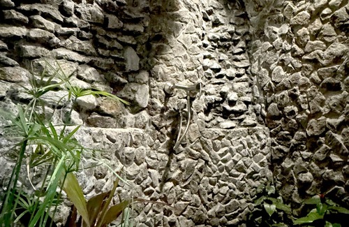 Kudarikilu House | Baa Sand Maldives