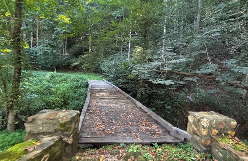 Piney Mountain Cabin | Back in Time! River Log Cabin-Off Grid