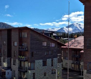Bakuriani Apartment | Bakuriani Villa Monte