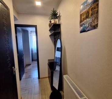 Bakuriani Apartment | Bakuriani Villa Monte