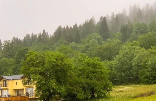 Bakuriani Villa | Bakuriani village