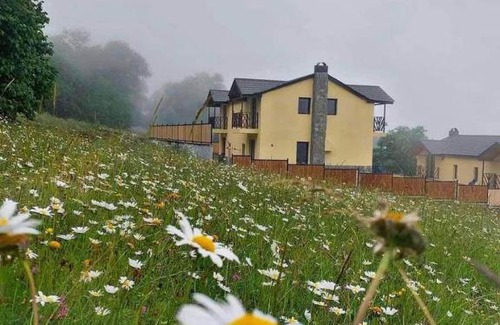Bakuriani Villa | Bakuriani village