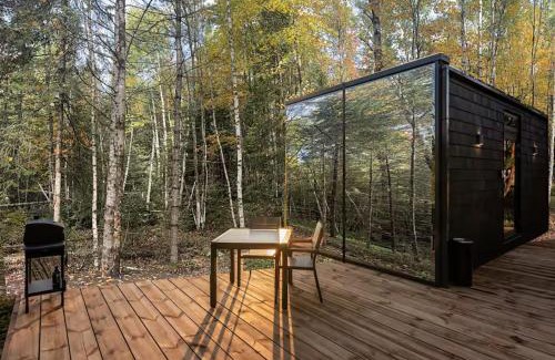 Whitefield House | Balsam Fir Mirror House at FarAway Pond