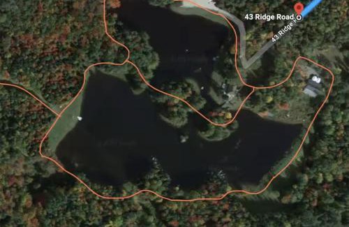 Whitefield House | Balsam Fir Mirror House at FarAway Pond