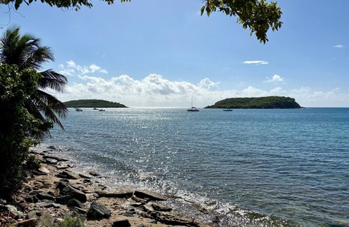 Esperanza Resort | Bananas Vieques Guesthouse Room 9/Vibrant Area/Private/Steps to the beach