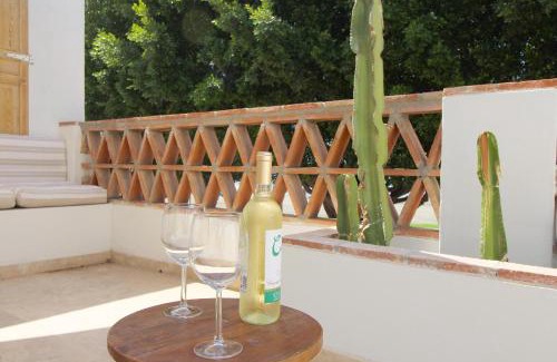 Playas del Palo Apartment | Banda del Mar Beach by Del Parque Flats