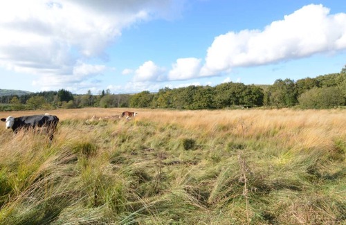 Margam House | Barn 2 - Cow in Ystradgynlais