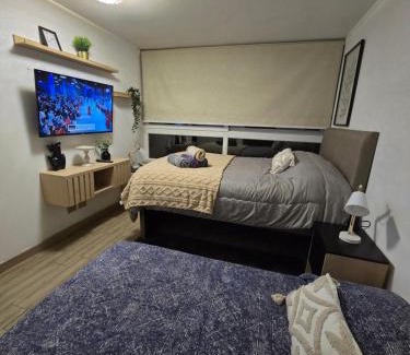 Barrio Italia Apartment | Barrio Italia Hermoso Departamento mas Parcking Gratis y Wifi