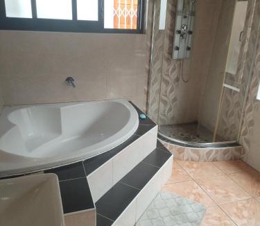 Greater Johannesburg Metropolitan Area House | Bashkaguesthouse
