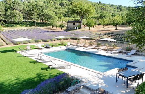 Apt House | Bastide de l'Esclat - Pool - lavender fields