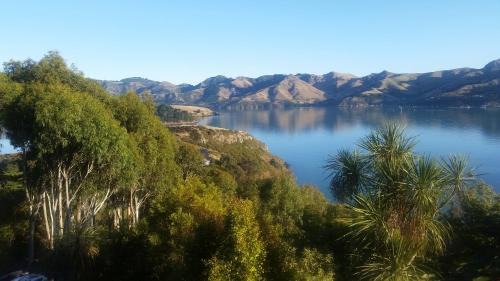 Diamond Harbour Apartment | Bayview Studio