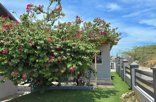 Sabana Liber House | Beach 7 min away! 2 BR, 1 BA, free parking, kitchen, workspace, hot water shower