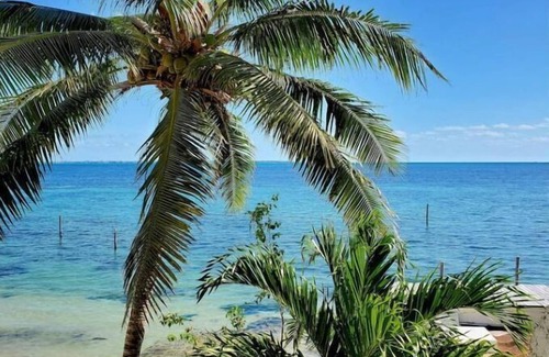 Alfredo V. Bonfil Apartment | Beachfront 1BR - Stunning Views - Near Hotel Zone & Isla Mujeres Ferry