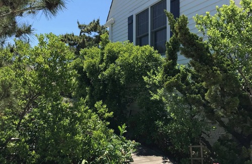 Surf City House | Beachfront House with private beach walk and multiple decks