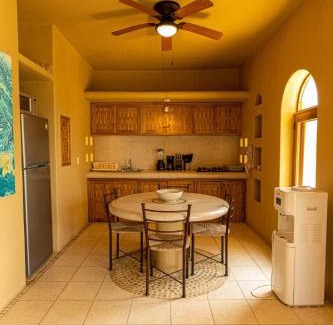 Barra de Potosi Apartment | Beachront apartment playa blanca