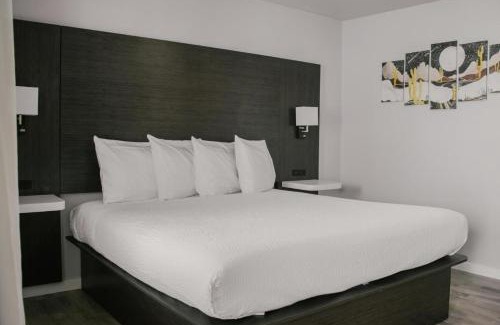 Blanding Hotel | Bears Ears Inn