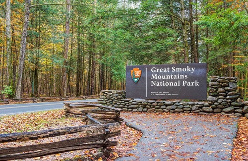 Gatlinburg - Pigeon Forge Cabin | Bears Repeating