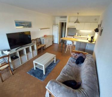 Le Couchant Apartment | Beau T2 cab GRANDE MOTTE Couchant