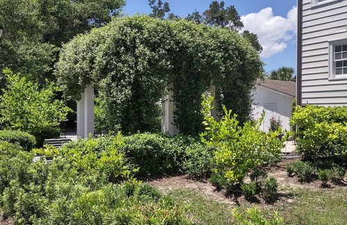 The Old Point House | Beaufort Charm showcased in this elegantly updated 4-bedroom historic home.