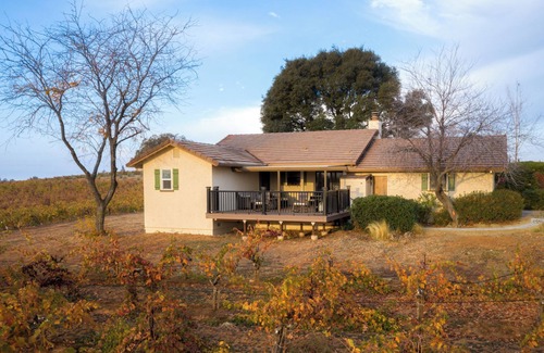 Shenandoah Valley Cottage | Beautiful 2 bedroom 2 bath Vineyard house located in a vineyard on 40 acres
