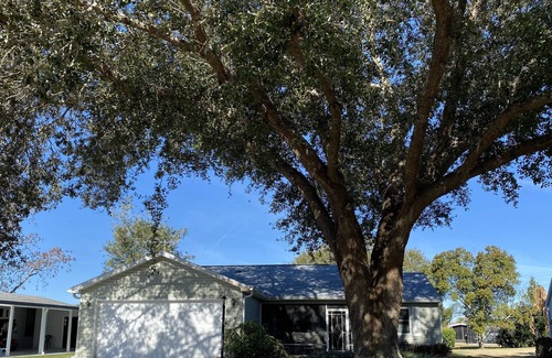 The Villages House | Beautiful 3/2 Dog-Friendly Golf Course Home w/ Pool & Close to EVERYTHING!