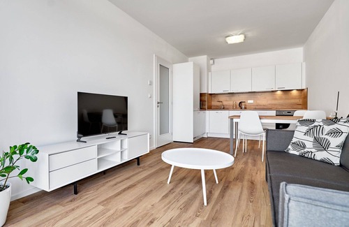Abertamy Apartment | Beautiful apartment for 4 guests with WIFI and TV