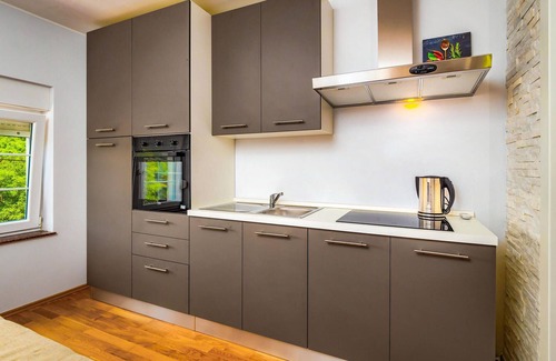 Marceljani Apartment | Beautiful apartment in Labin with WiFi