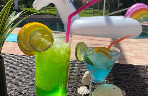 Fruitville House | Beautiful Forest View Home with a Heated Pool !