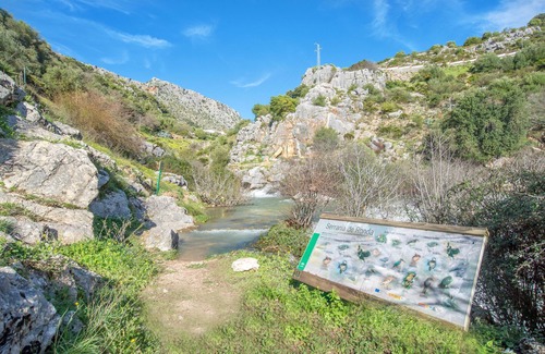 Benaojan Apartment | Beautiful Holiday Apartment "Casa Rural Nacimiento 2" with Pool