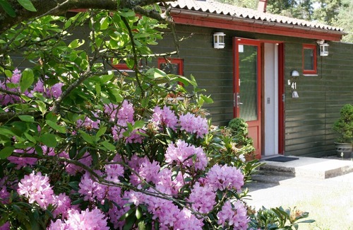 Skanderborg Municipality House | Beautiful Holiday Home in Skanderborg with Surfing nearby
