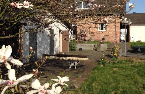 Ehrenfeld House | Beautiful house in Cologne, for up to 10 people. A large private garden.