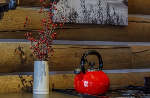 Livingston Cabin | Beautiful Log Cabin in Paradise Valley, Montana