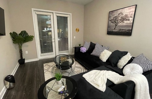 Addison Apartment | Beautiful luxury apartment with New furniture and great amenities.