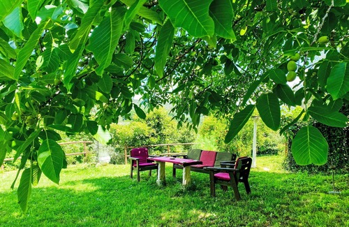 Bagnoregio Villa | Beautiful private villa for 7 guests with WIFI and pets allowed
