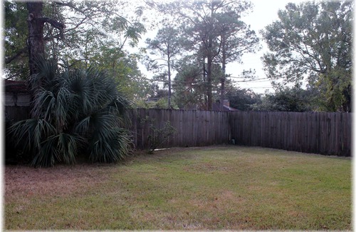 Algiers House | BEAUTIFUL QUIET CITY LIVING CLOSE TO DOWNTOWN (Algiers area)