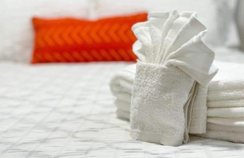 Old Seminole Heights House | Beautiful Spacious Stylish Near Busch Gardens