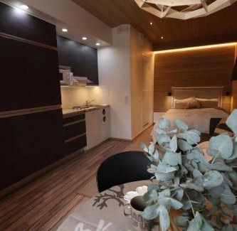 Rukatunturi Apartment | Beautiful studio by the slopes