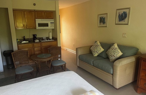 St. Petersburg - Clearwater Resort | Beautiful Studio with Ocean View!n