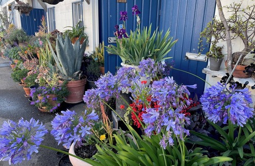 Gardena Apartment | BEAUTIFUL WAREHOUSE SPACE W/OFFICE