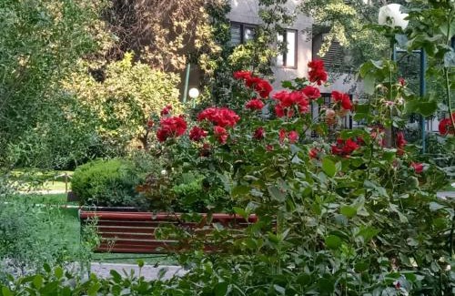 Nunoa Apartment | Bed and Breakfast La Reina Oriente