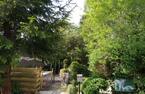 Zuidlaren Bed & Breakfast | Bed & Breakfast Zuidlaren