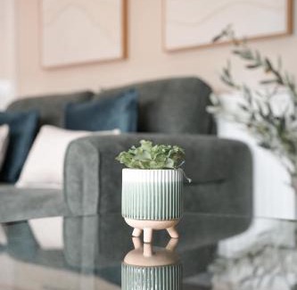 Livingston House | Beechgrove House