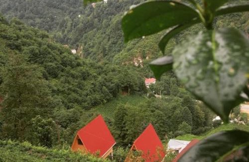 Ayder Apartment | Begi Apart Bungalows Hotel - Çamlıhemşin