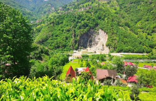 Ayder Apartment | Begi Apart Bungalows Hotel - Çamlıhemşin