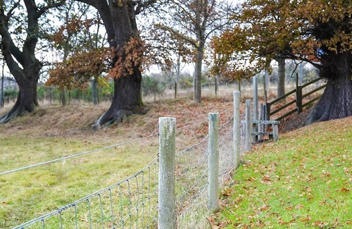 Marybank Cottage | Being set on the Brahan Estate makes for an exceptional holiday base.